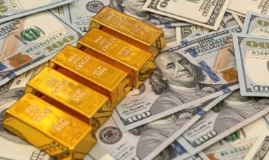 Forex Reserve: विदेशी मुद्रा भंडार में इस सप्ताह आई 9.6 अरब डॉलर की कमी, दो वर्ष में सबसे बड़ी साप्ताहिक गिरावट