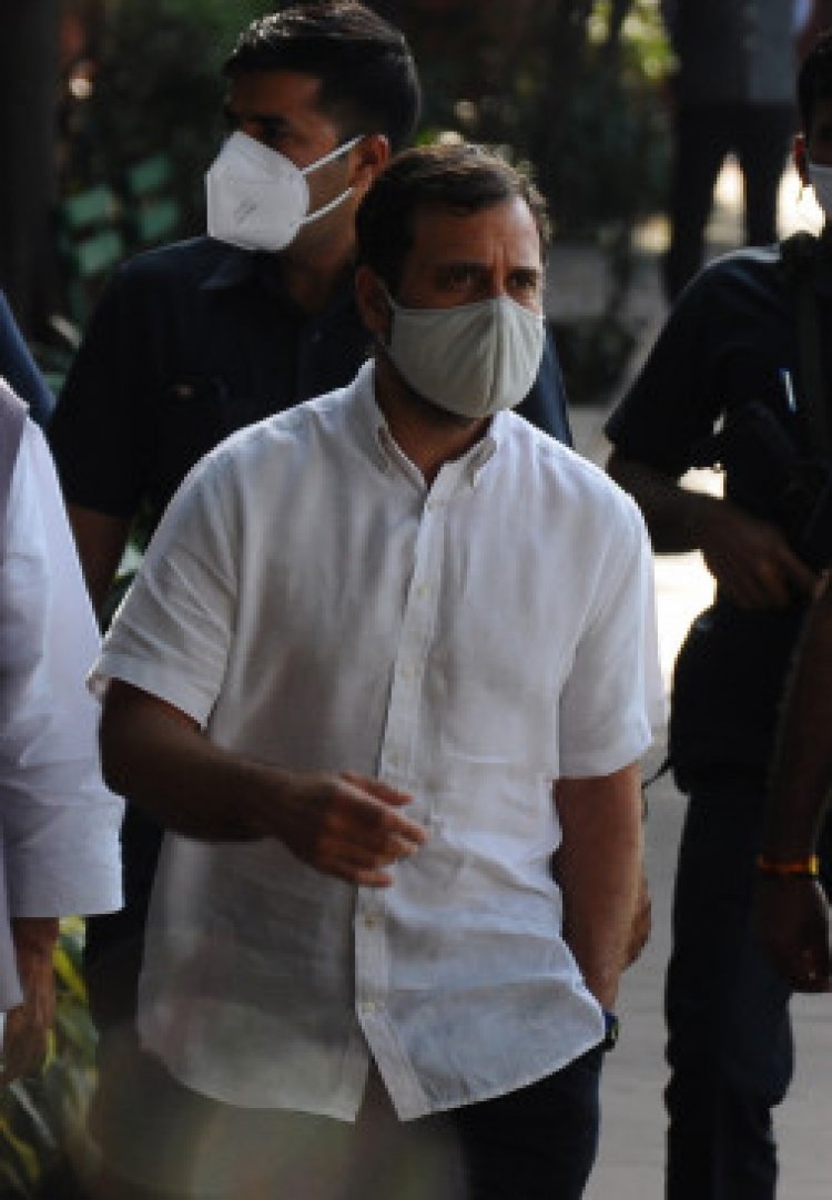 गुजरात विधानसभा चुनाव 2022: गुजरात के नेताओं के साथ राहुल की बैठक में पीके के मुद्दे पर हुई चर्चा, पर फैसला नहीं