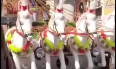 चेटीचंड पर शोभायात्रा में उमडे़ लोग आयोलाल-झूलेलाल की सुनाई दी गूंज, ट्रकों में सजी झांकियों ने छोड़ी छाप, जगह जगह हुआ स्वागत