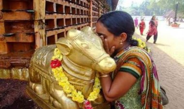 नंदी के कान में मनोकामना बोलने का ये है सही तरीका