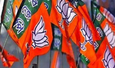 राजस्थान चुनावों में बगावत रोकने के लिए भाजपा का मास्टर प्लान तैयार, रणनीति के तहत अब नेता नहीं लड़वाएंगे चुनाव