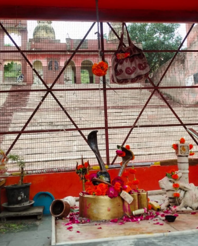 भोलेनाथ का दर्शन करने पहुचे नागदेवता